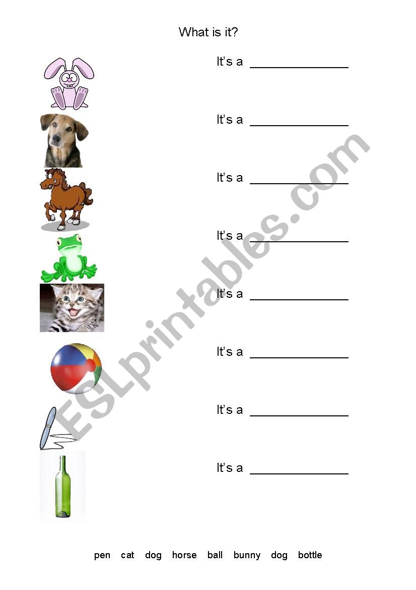 What is it? worksheet