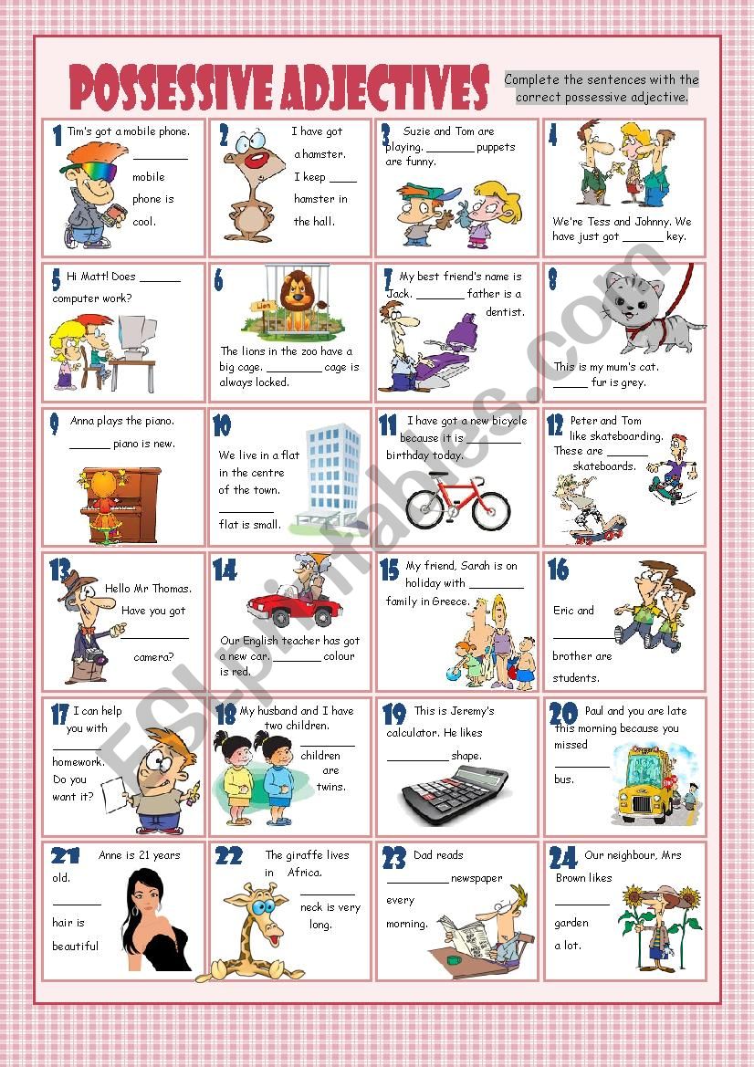 Possessive Adjectives worksheet