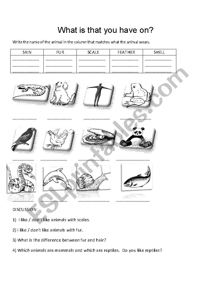 What is that you have on? worksheet