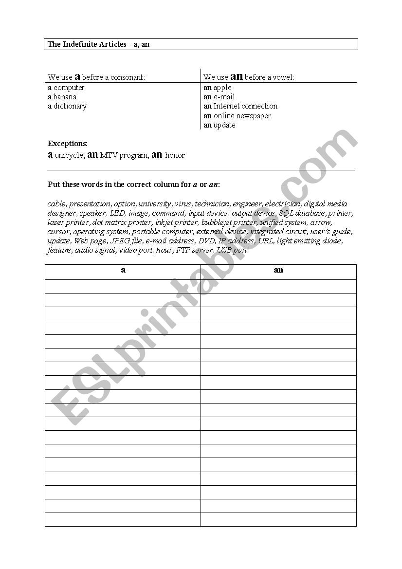 Indefinite articles a and an and IT Vocabulary