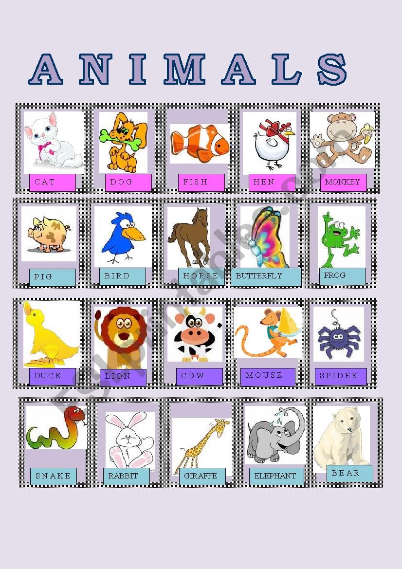 ANIMALS SMALL FLASH CARDS worksheet