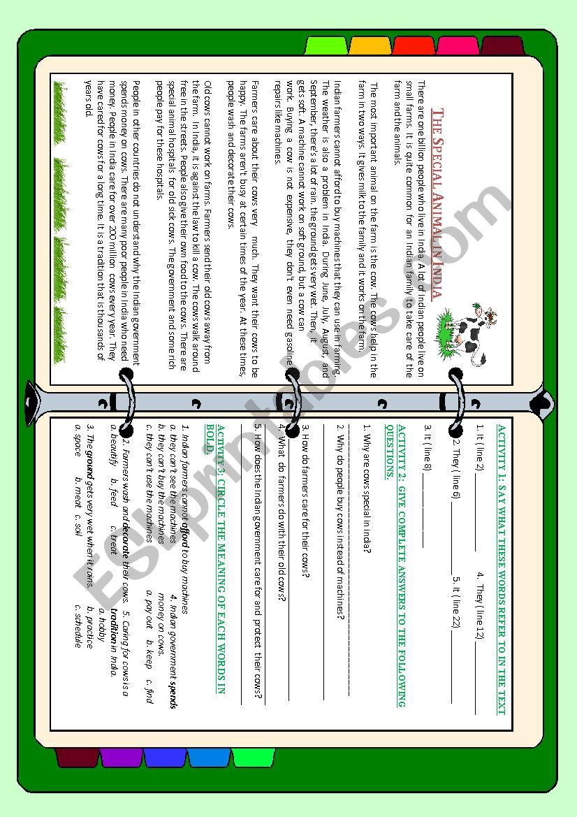 The special animal in India worksheet