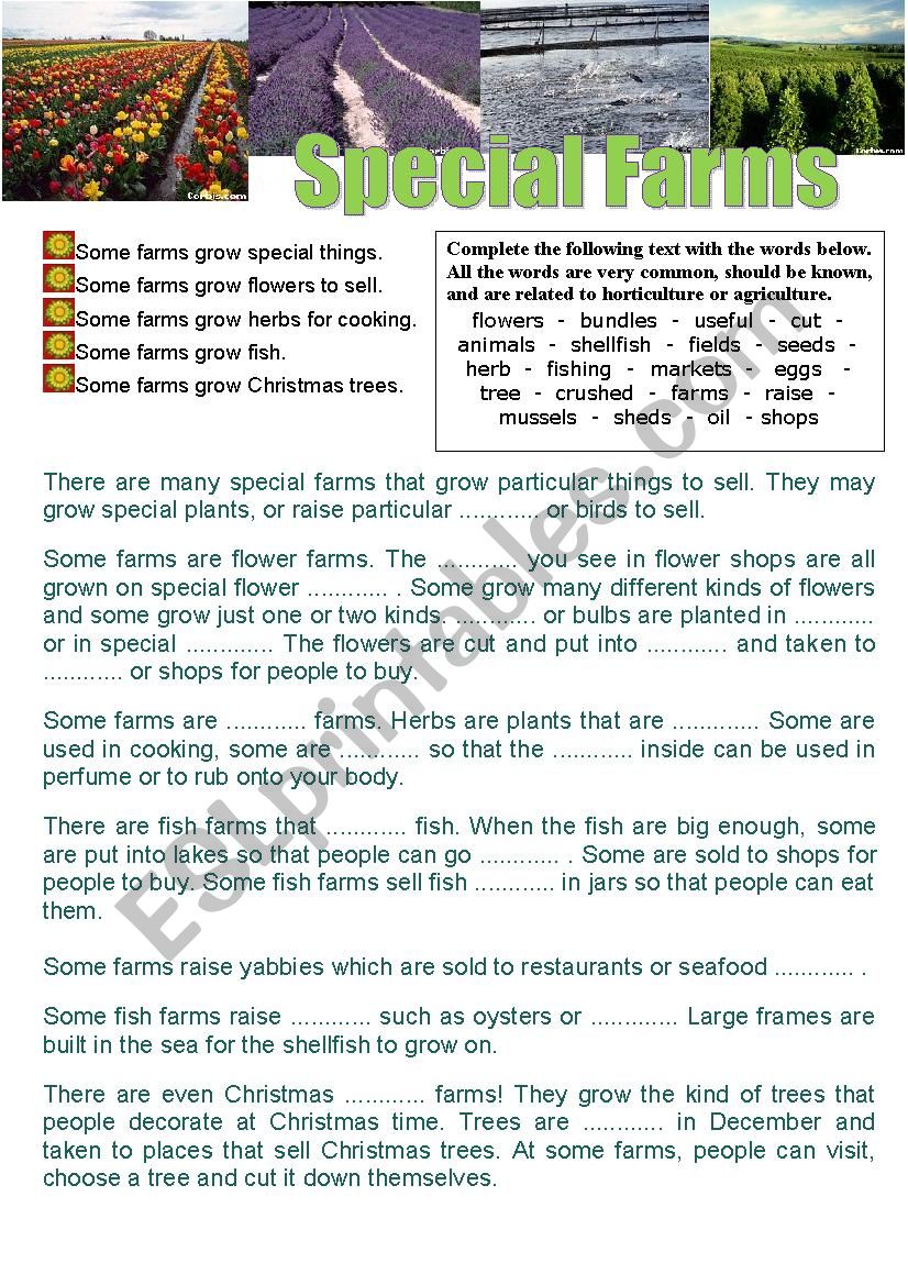 Special Farms (Cloze) worksheet