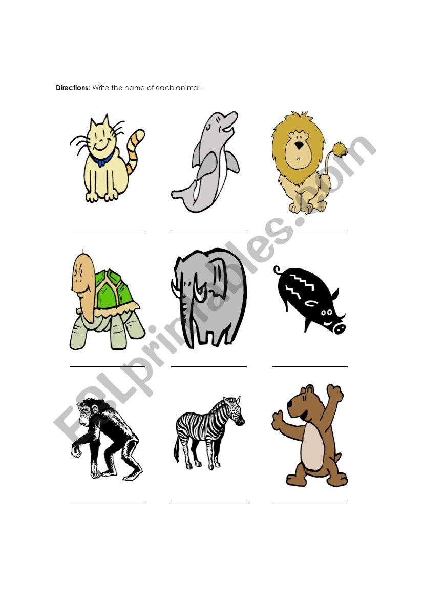 animals worksheet