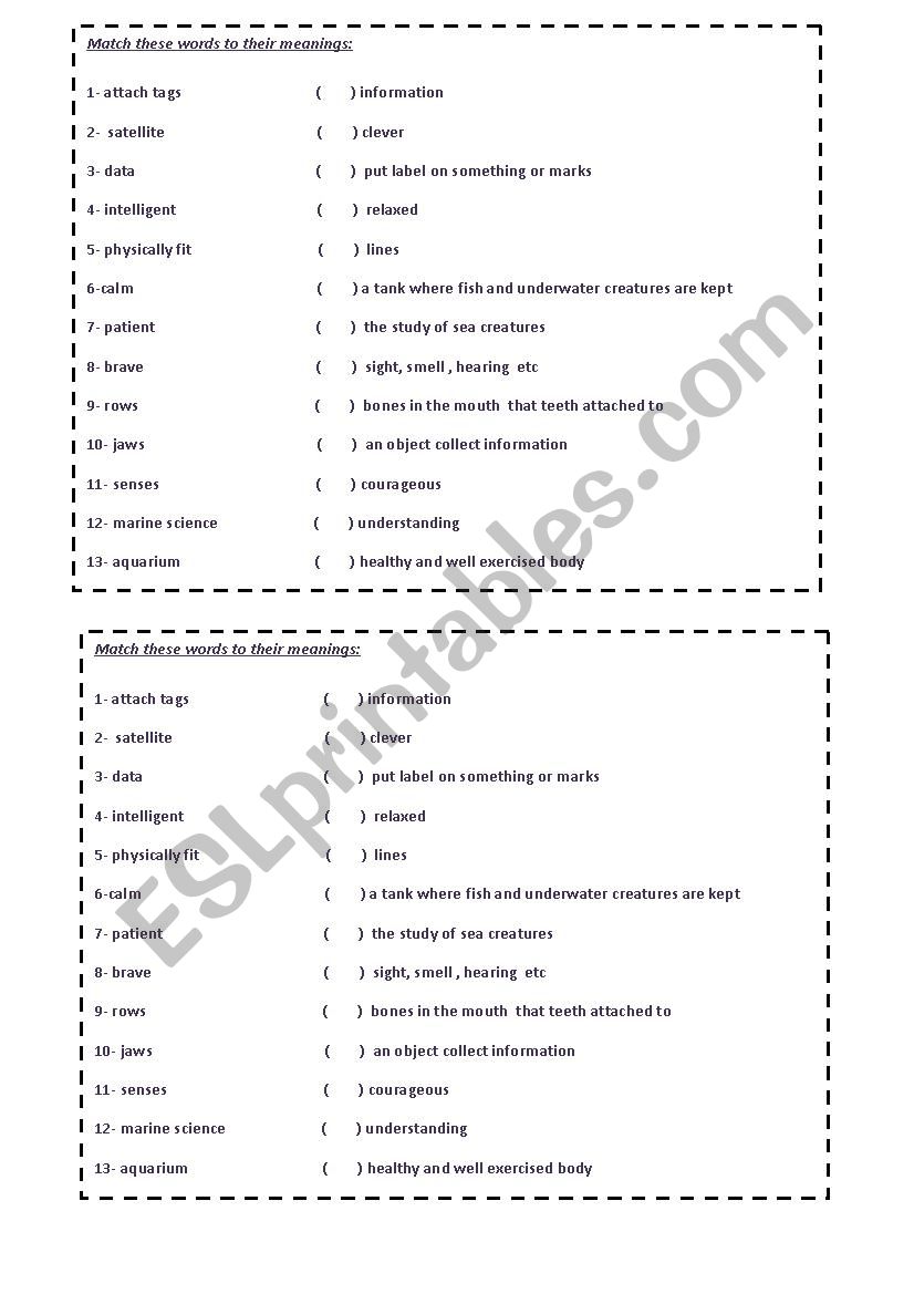 words and meanings worksheet