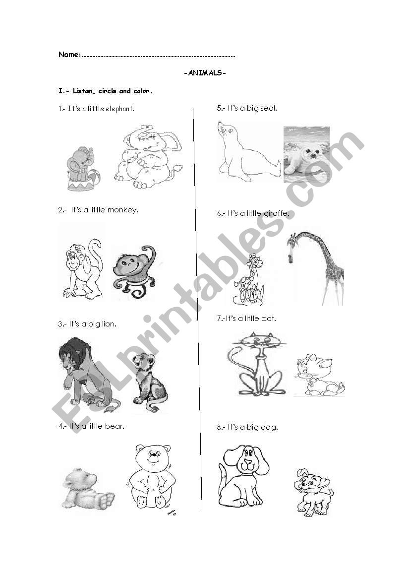 animals worksheet