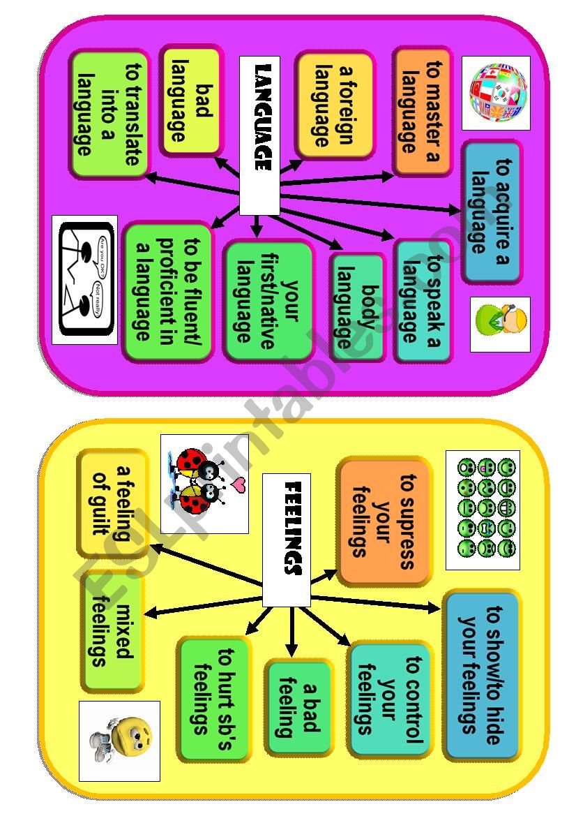 FLUENCY Flash Card 13 worksheet