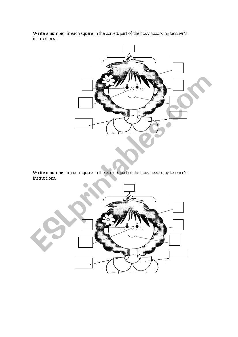 parts of the face worksheet