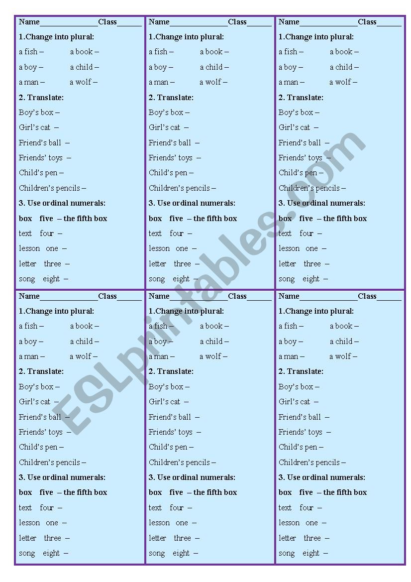 Plurals, possessive case, ordinal numerals.