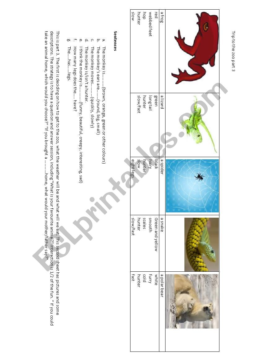 Trip to the Zoo part 3 worksheet