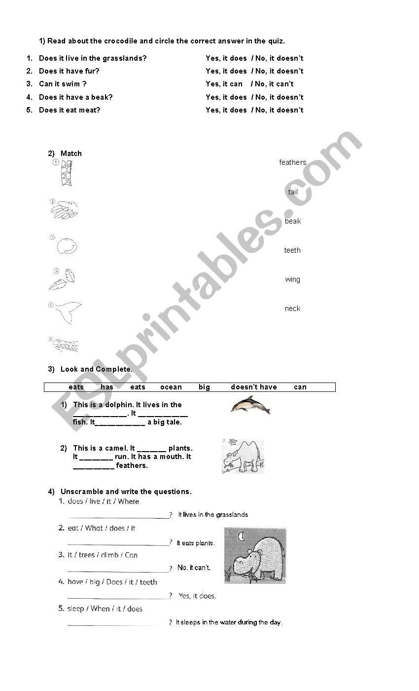 animals worksheet (habitats, parts of the body, likes and dislikes)