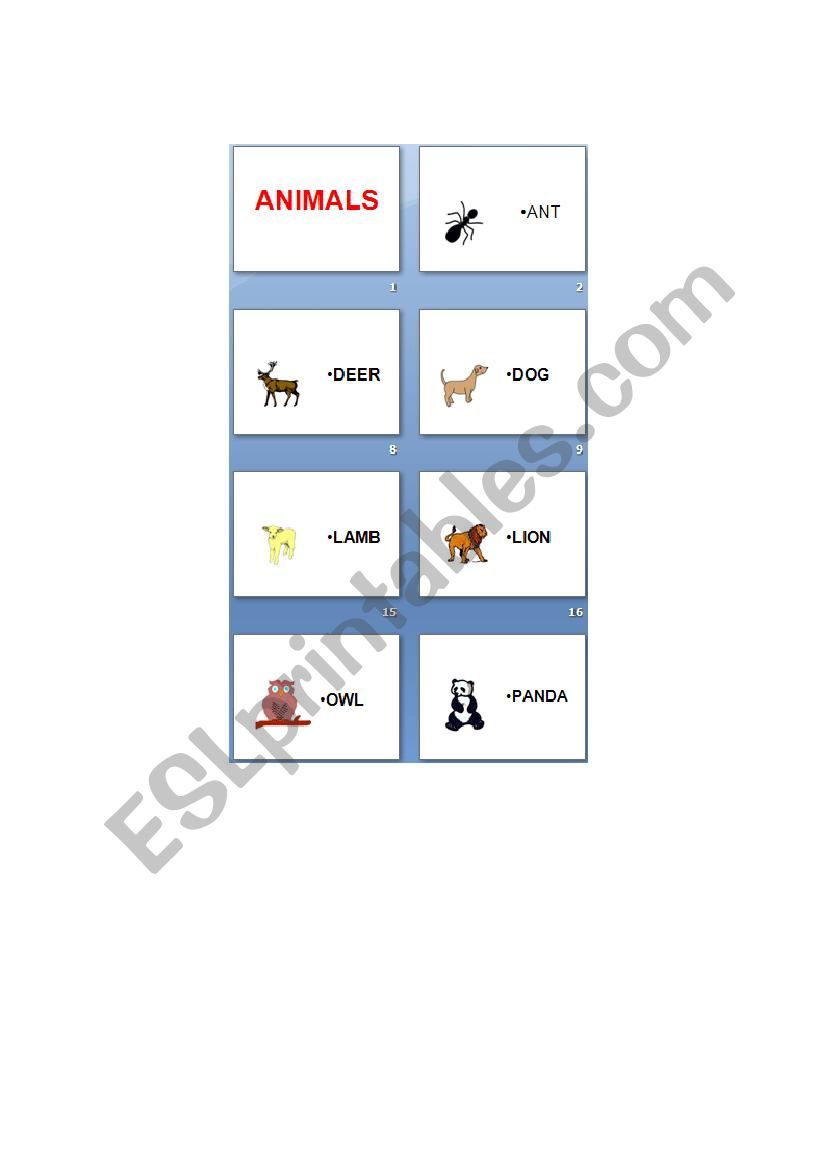 Animals worksheet