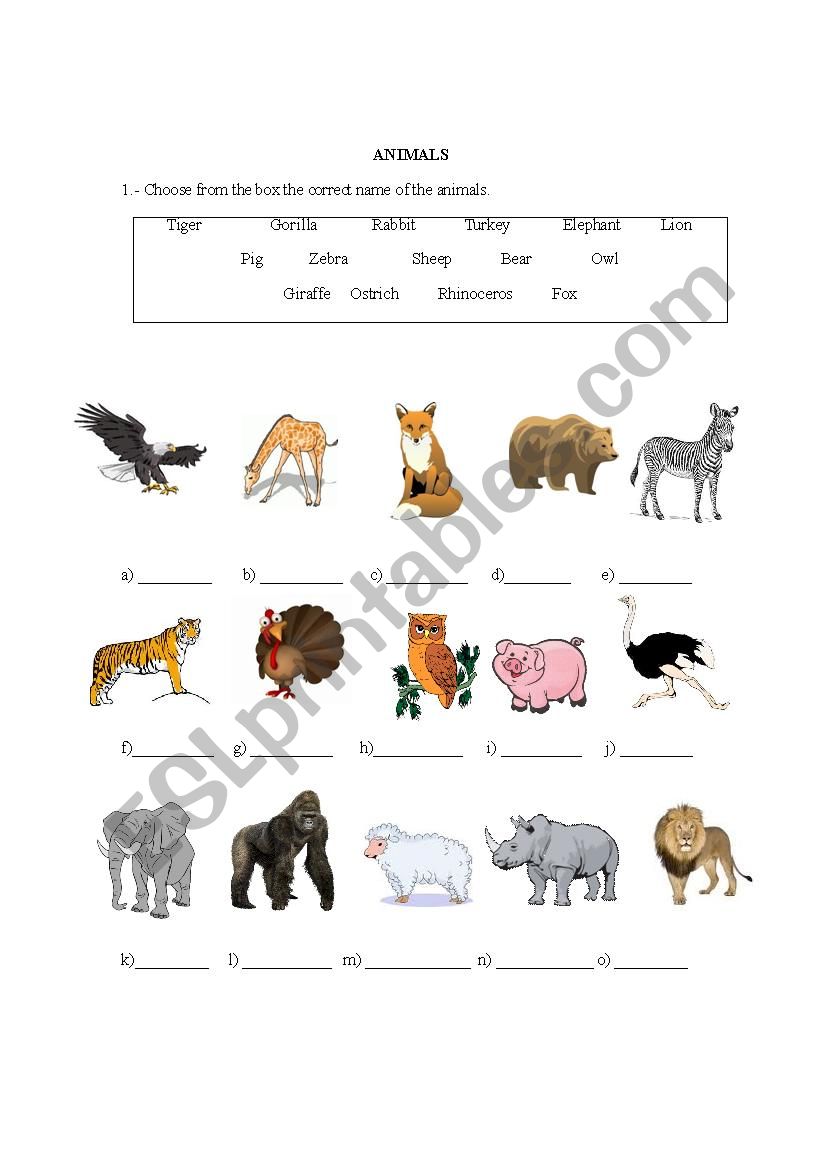 ANIMALS worksheet