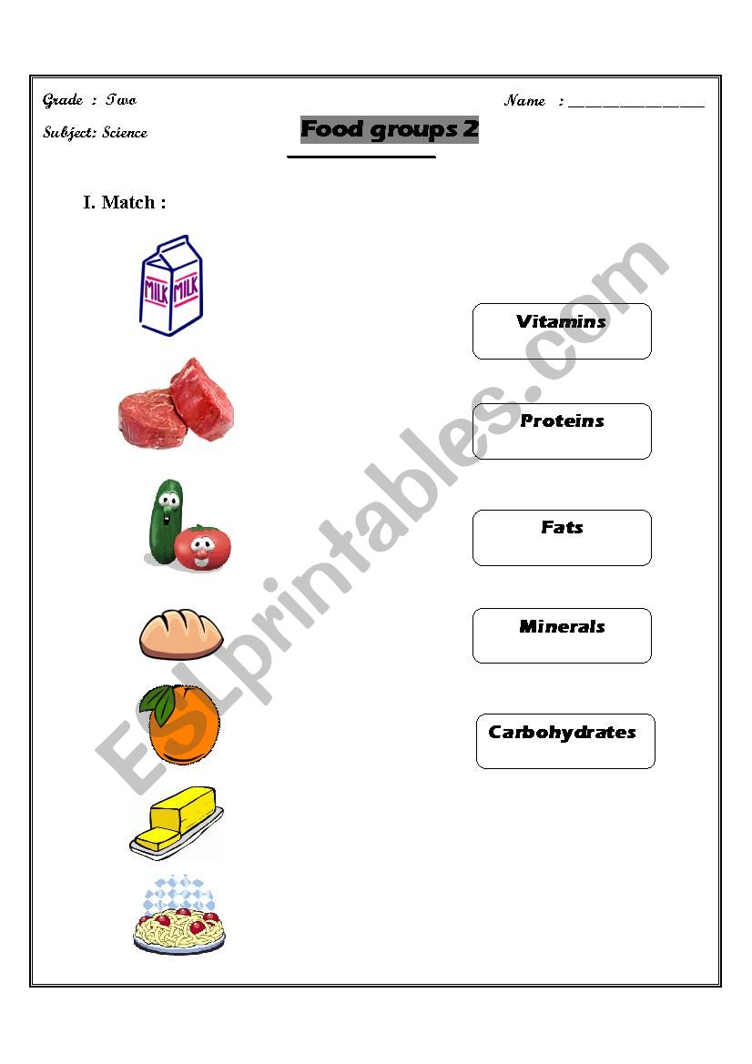 food groups worksheet