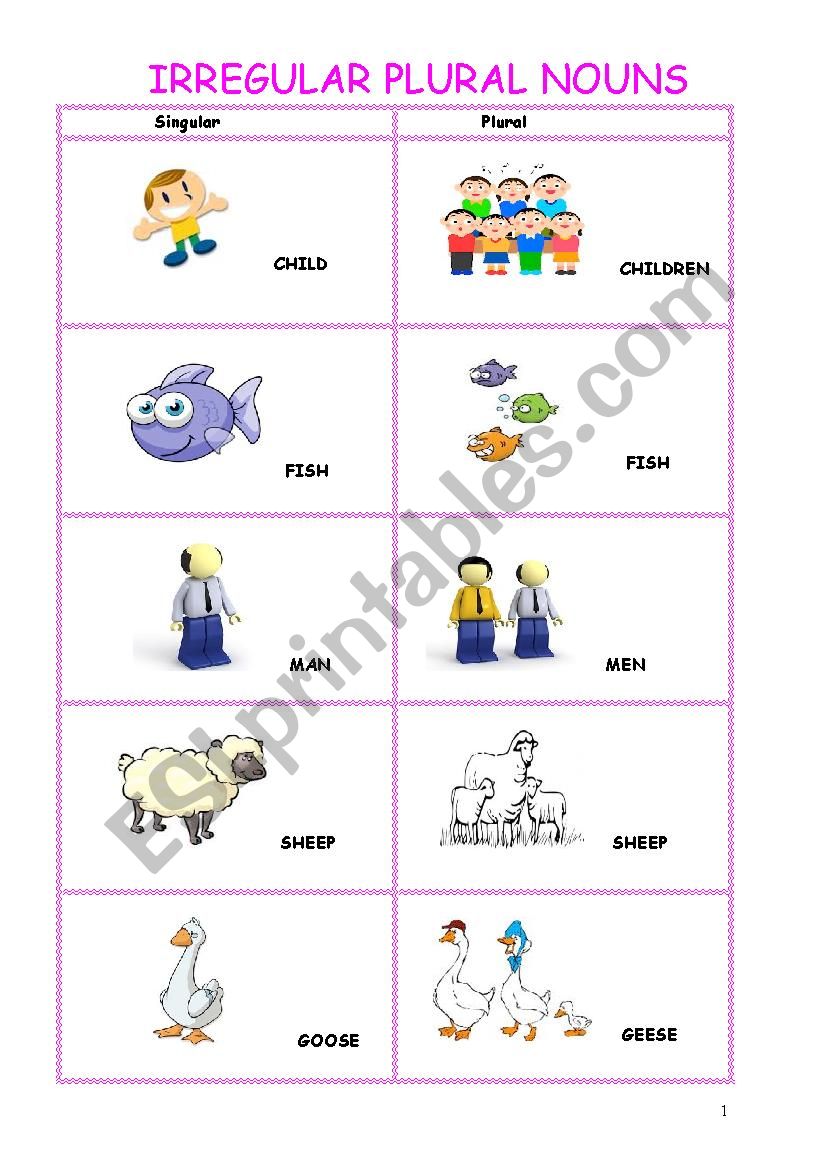 IRREGULAR PLURAL NOUNS worksheet