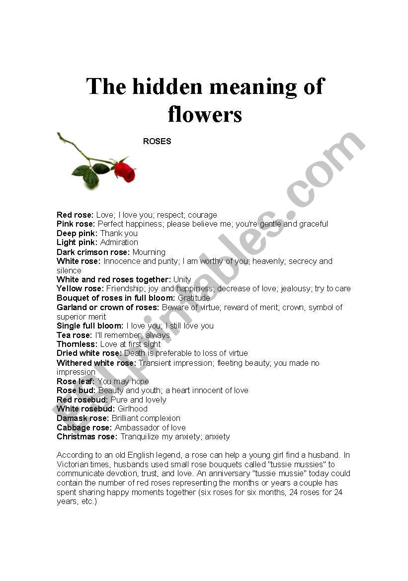The hidden meaning of flowers worksheet