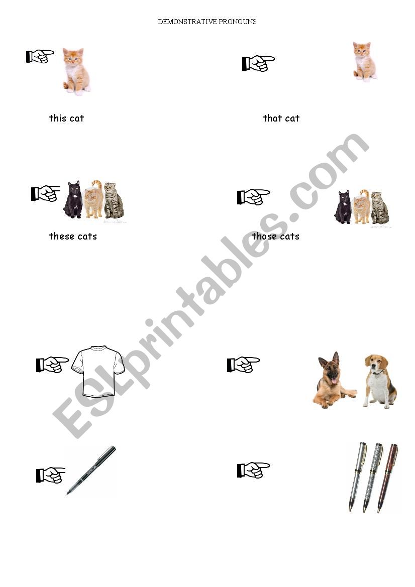 demonstrative pronouns worksheet