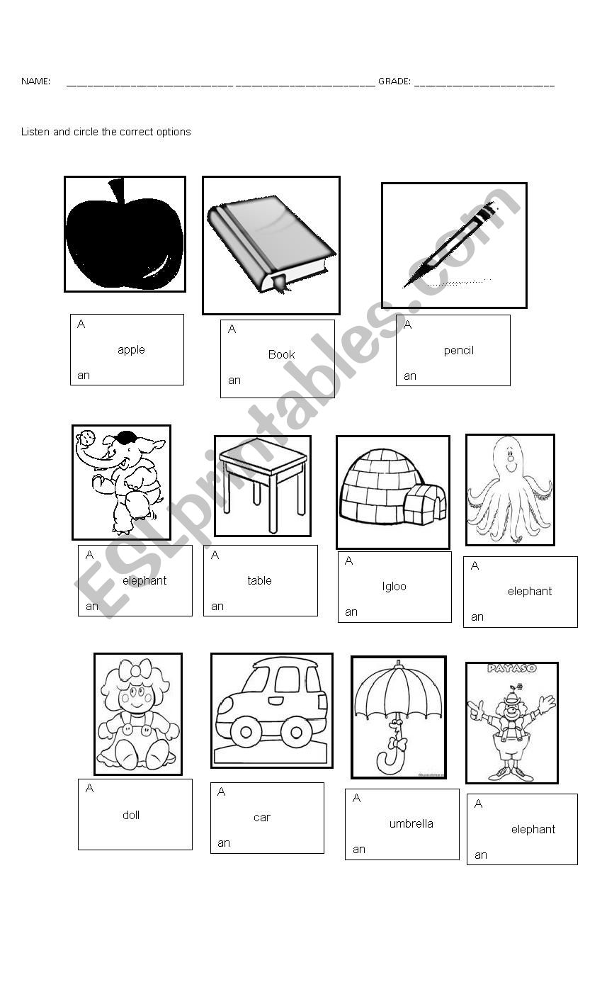 A - An worksheet