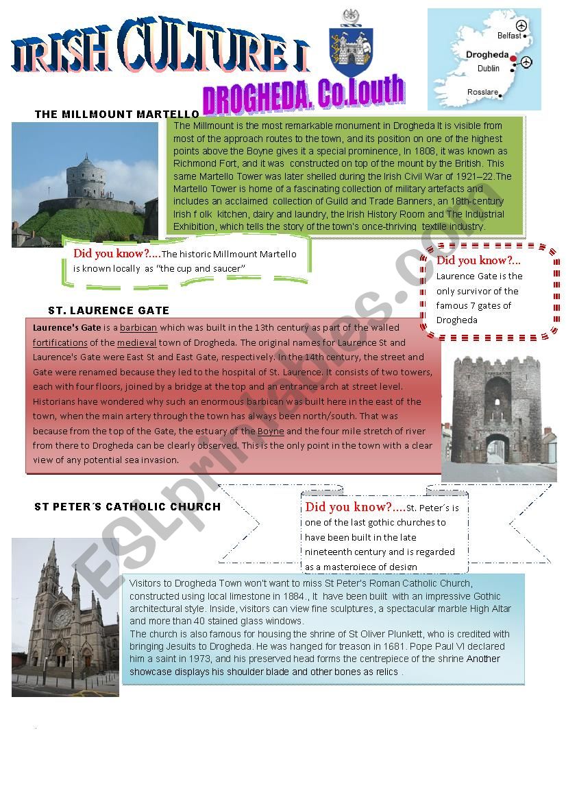 Irish Culture worksheet