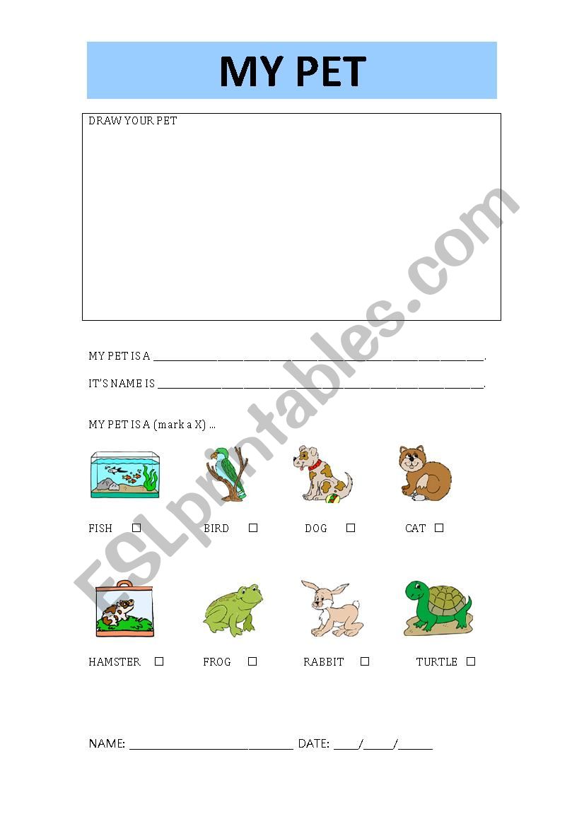 My pet worksheet