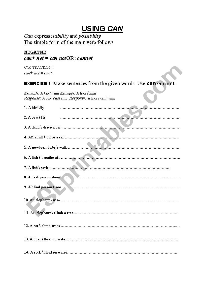 can worksheet