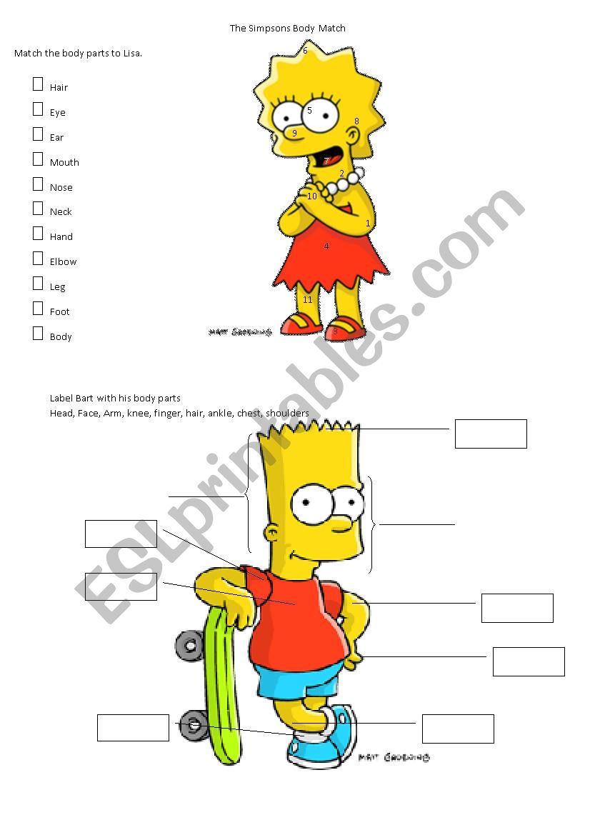 Parts of the body worksheet