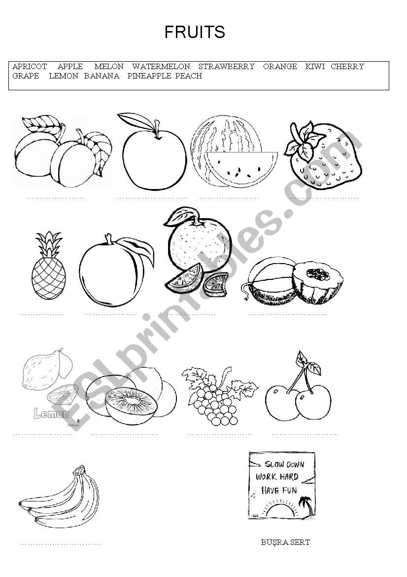 Fruits worksheet