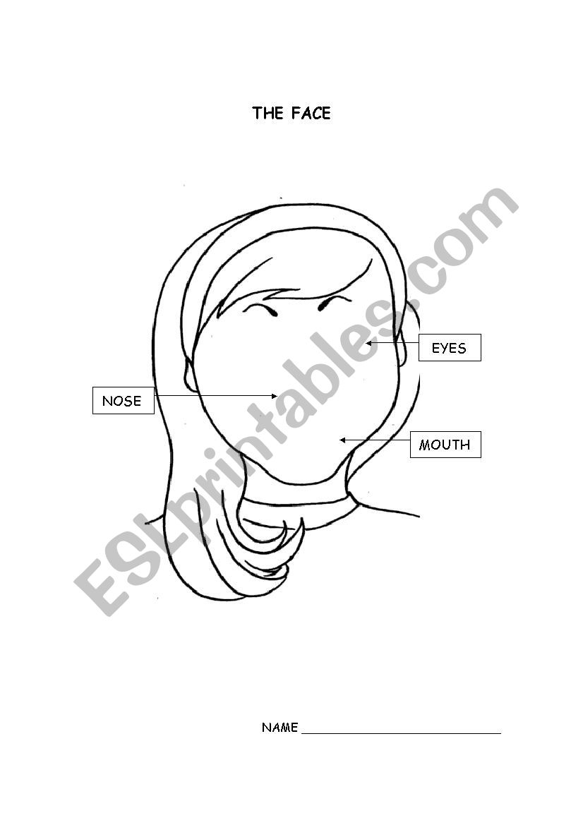 The face worksheet