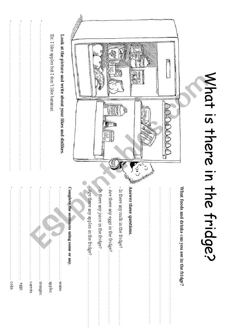 What is there in the fridge? worksheet