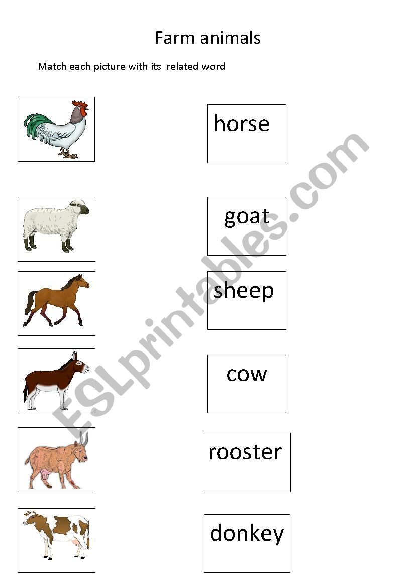 farm animals worksheet