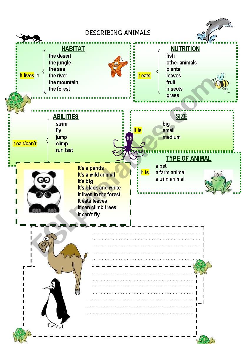 Animal description worksheet