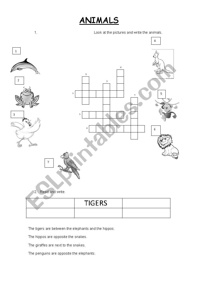 ANIMALS worksheet