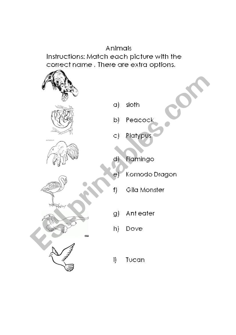 Animals worksheet