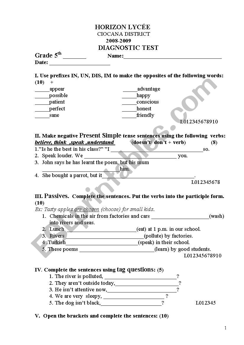 TEST GRAMMAR worksheet