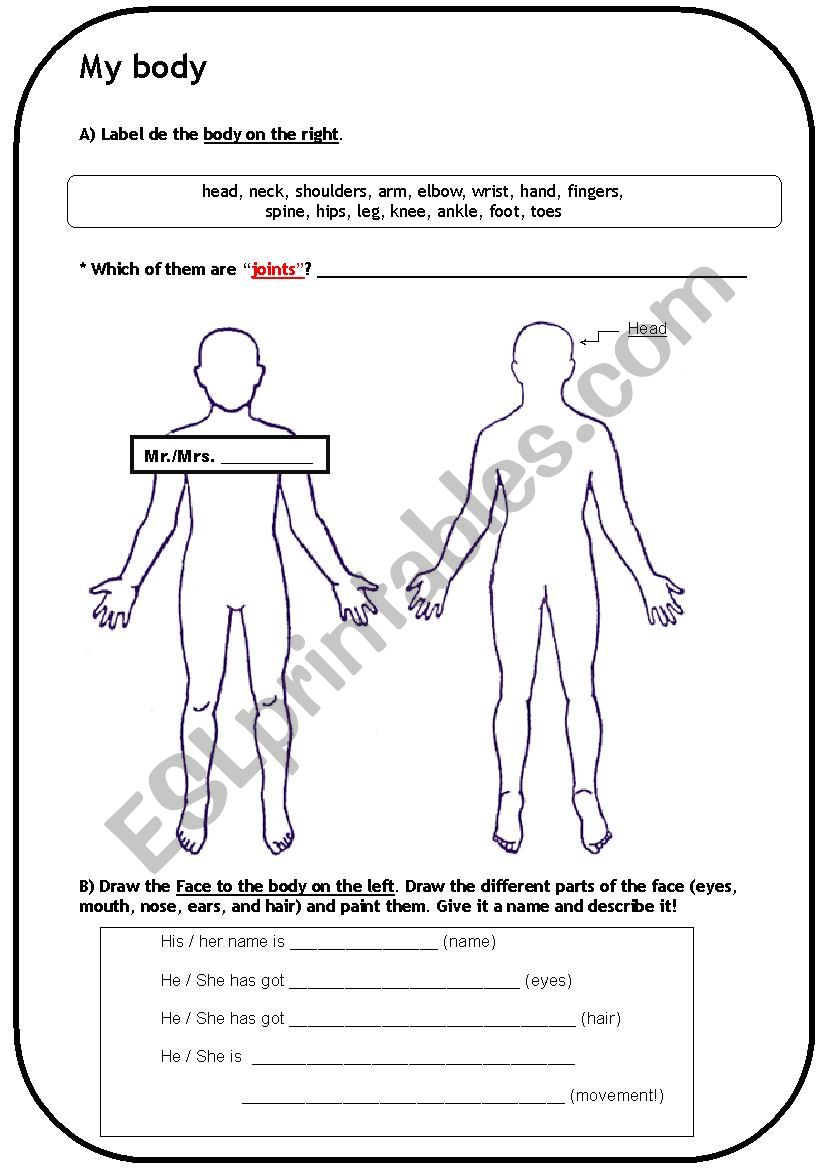 My body worksheet