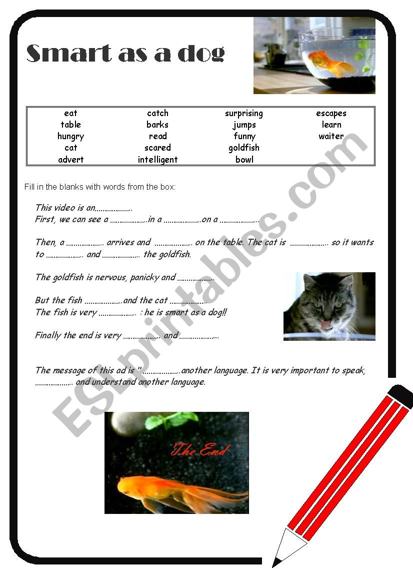 avista language school advert worksheet