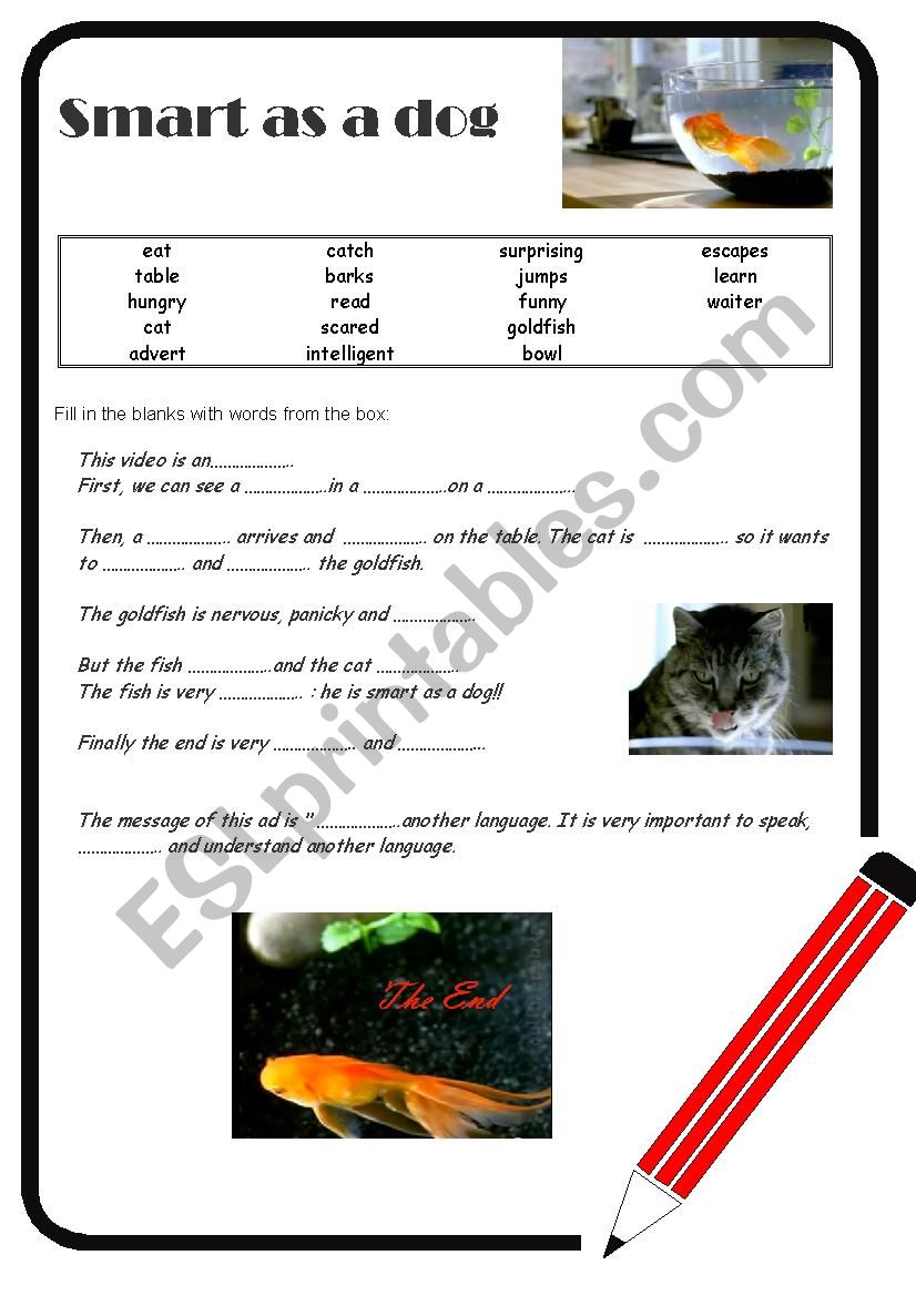 avista language school advert worksheet