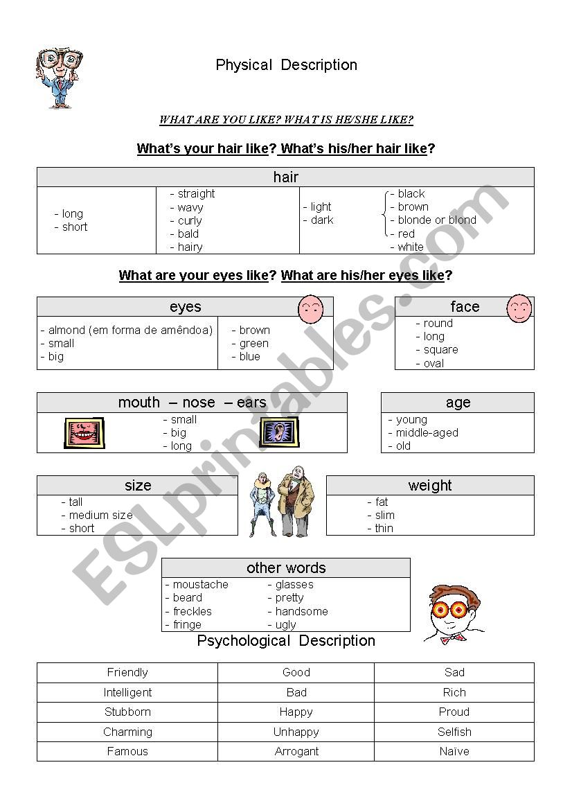 Phsysical description worksheet