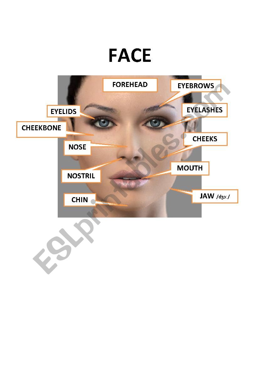 FACE worksheet