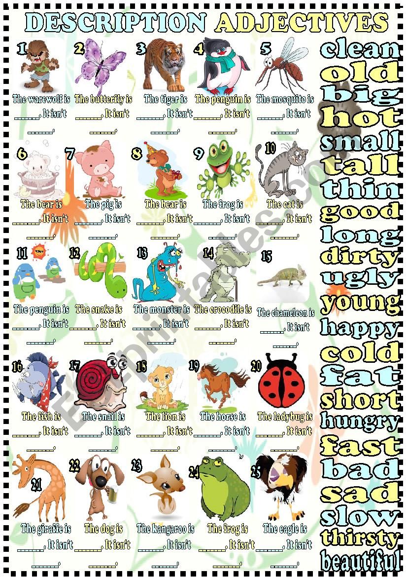 opposite adjectives worksheet