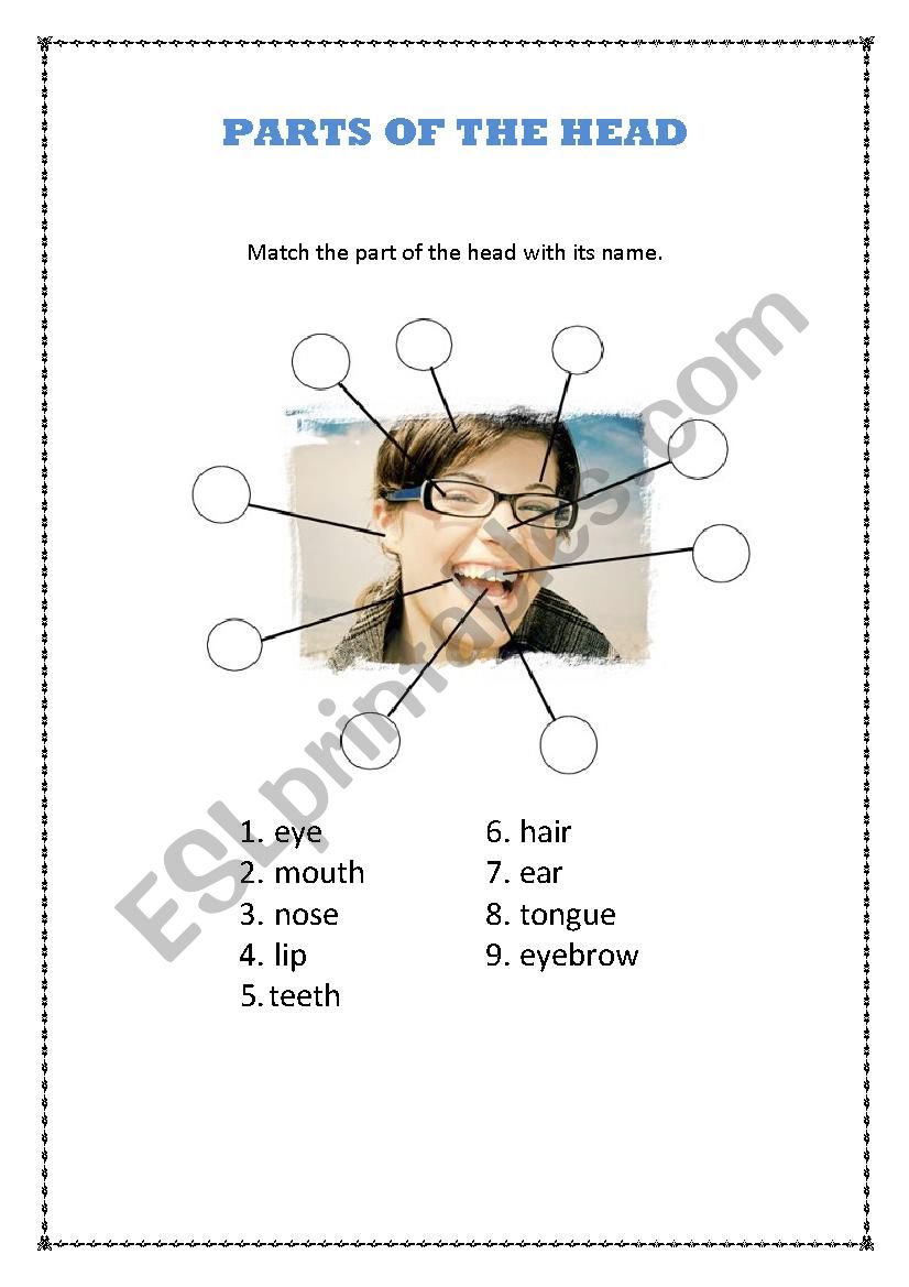 Parts of the Head worksheet