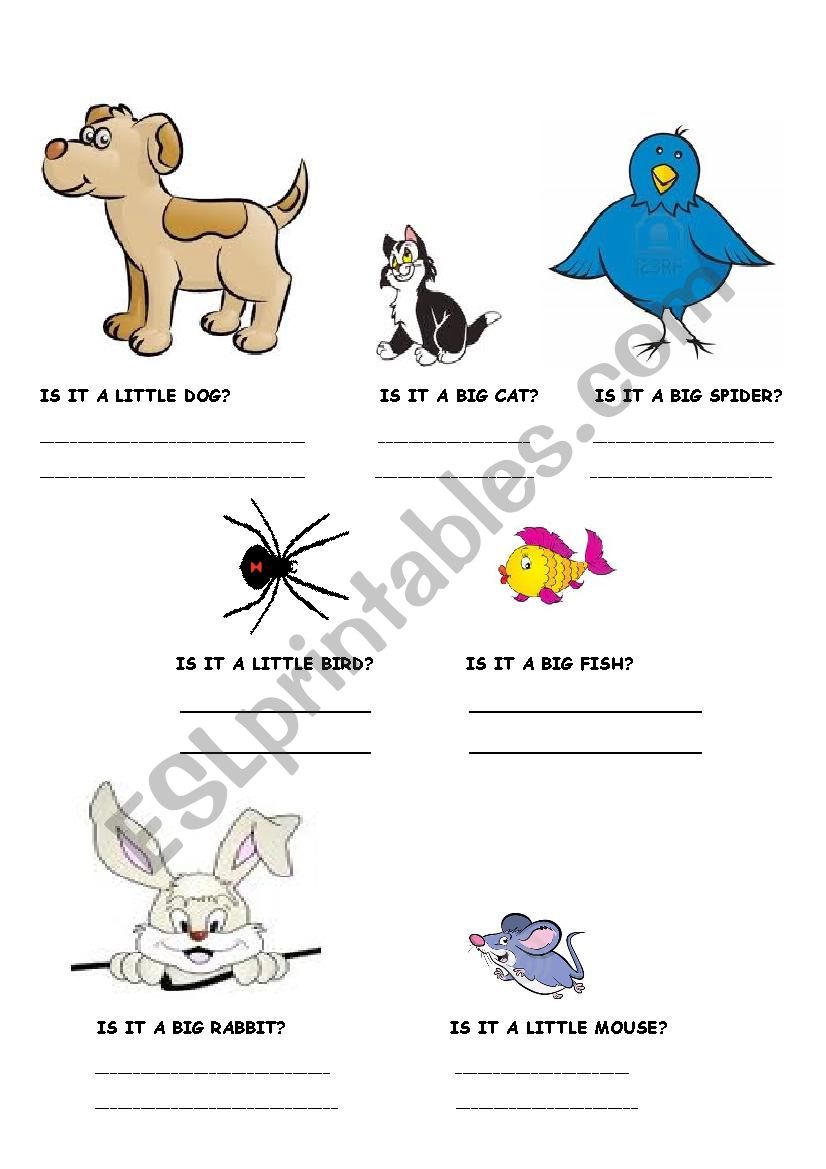 BIG OR LITTLE worksheet