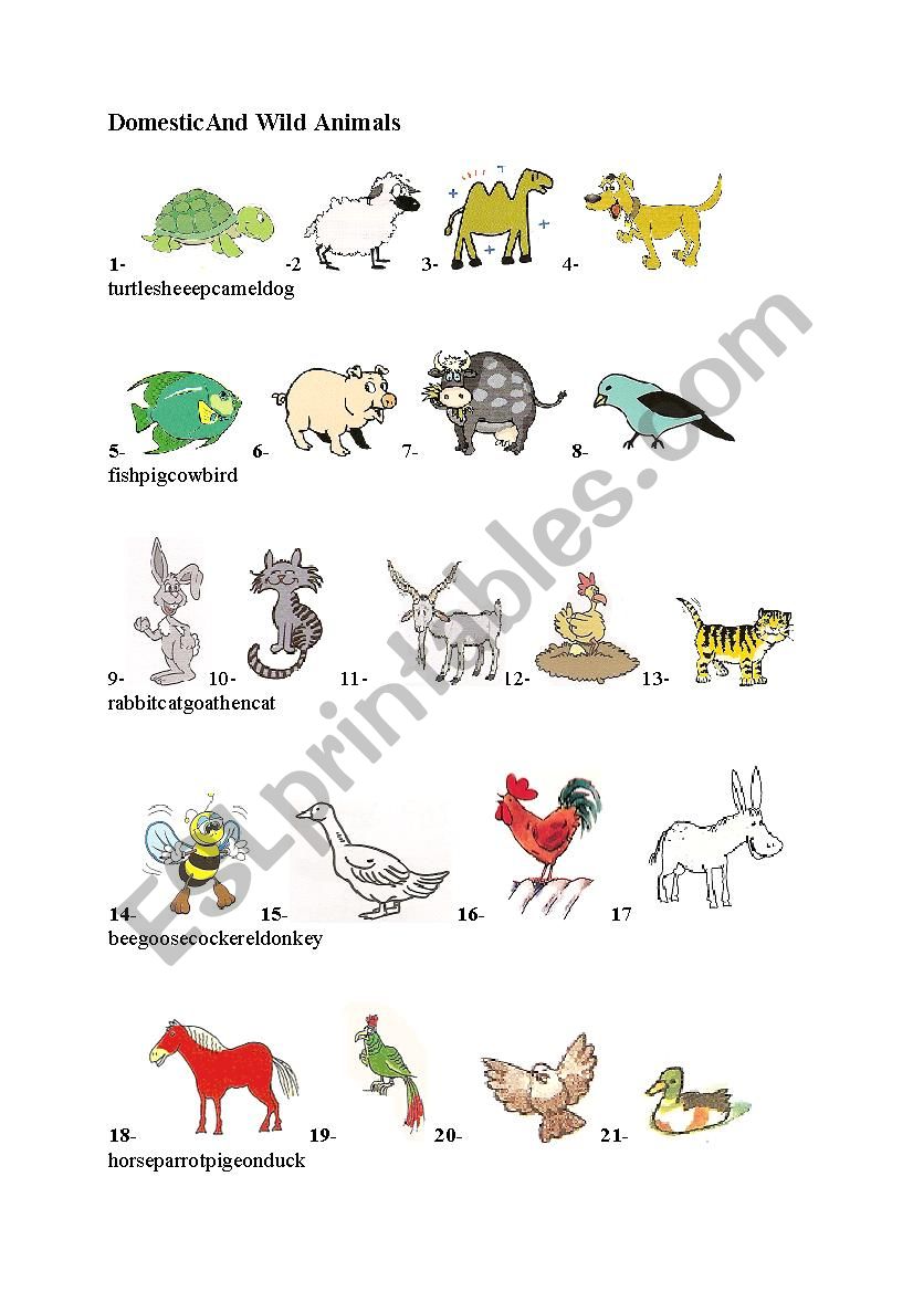 domestic and wild animals worksheet