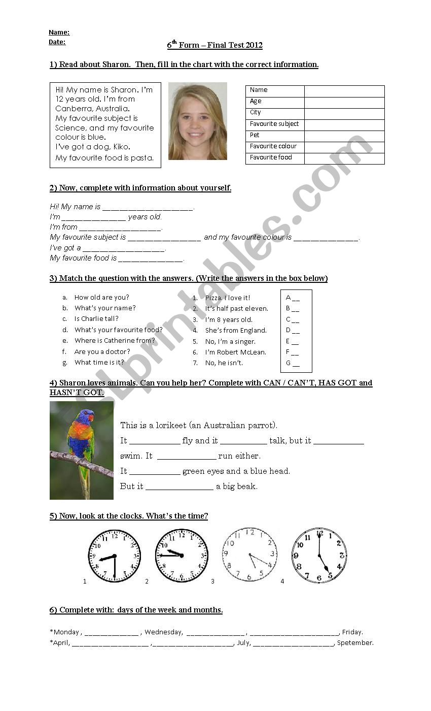 test for beginners worksheet