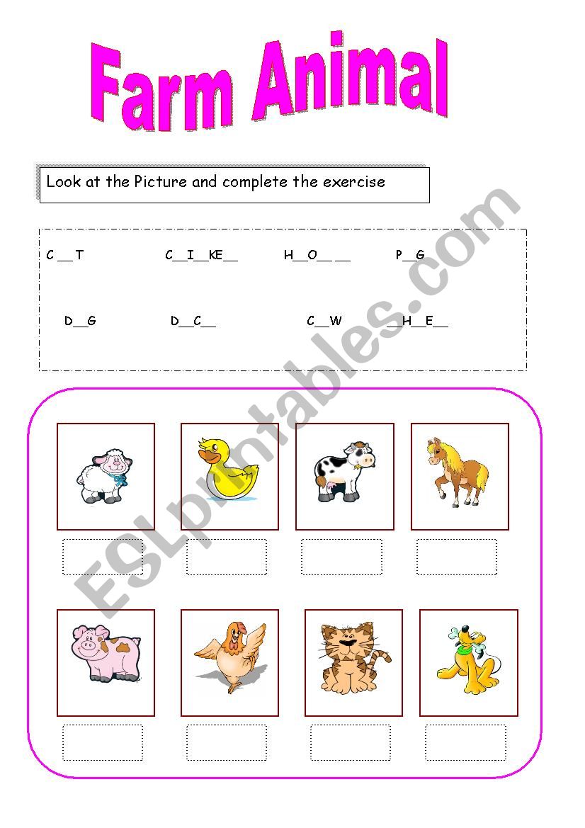 farm animal worksheet