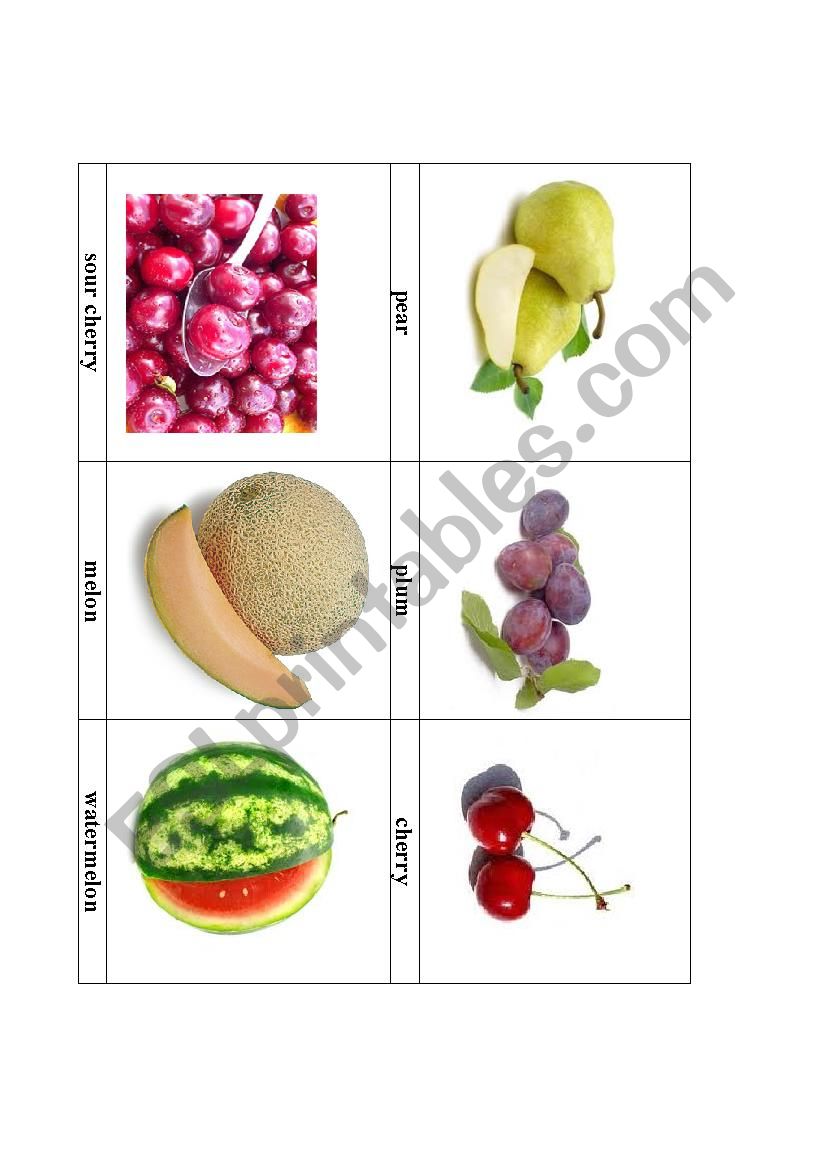 fruit 2 worksheet