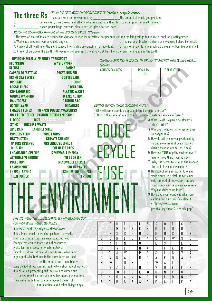 THE ENVIRONMENT worksheet