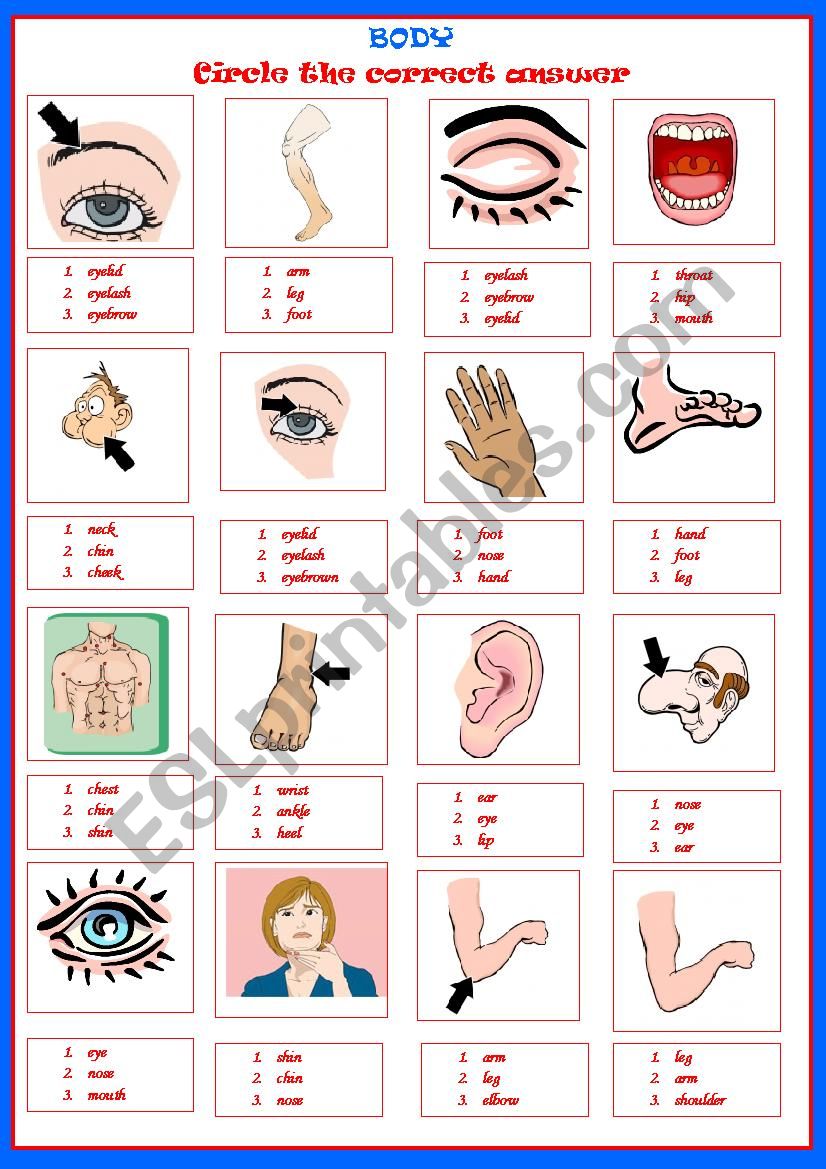 BODY PARTS - multi-choice worksheet