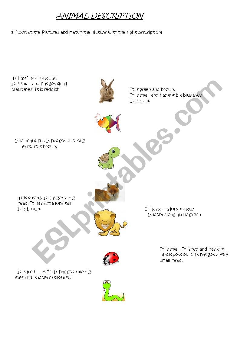 Animal description worksheet