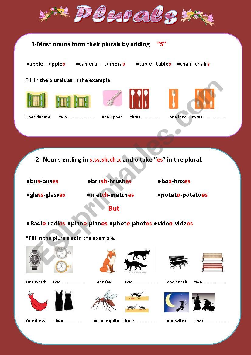 Plural rules and exercices  worksheet